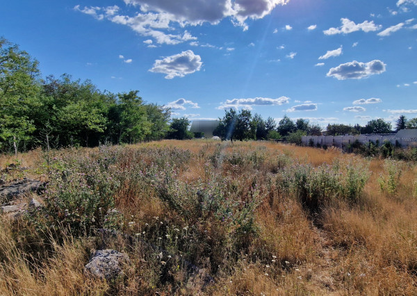 NA PREDAJ pozemok s výmerou 2 000 m² v obci Marcelová