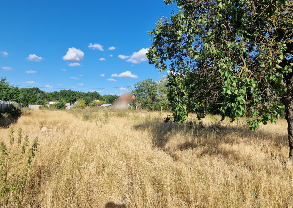 NA PREDAJ pozemok s výmerou 2 000 m² v obci Marcelová