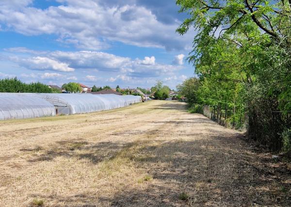 Ponúkam na predaj veľký pozemok s rozlohou 3765 m² v meste Nesvady