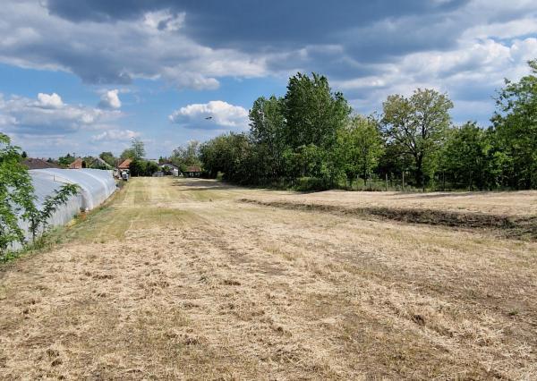Ponúkam na predaj veľký pozemok s rozlohou 3765 m² v meste Nesvady
