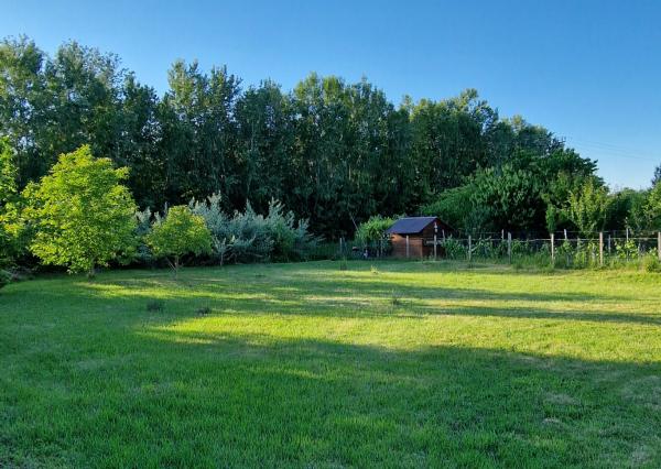 Na predaj pozemok pri vode, len pár minút od Veľkého Medera