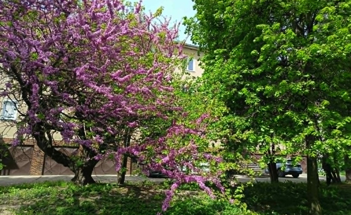 Nadštandardný veľkometrážny byt s garážou - Komárno - fotografia 8