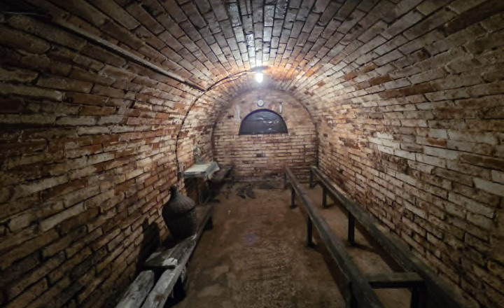 Ponúkame na predaj vínny domček s vinicou v Bátorových Kosihách - fotografia 5