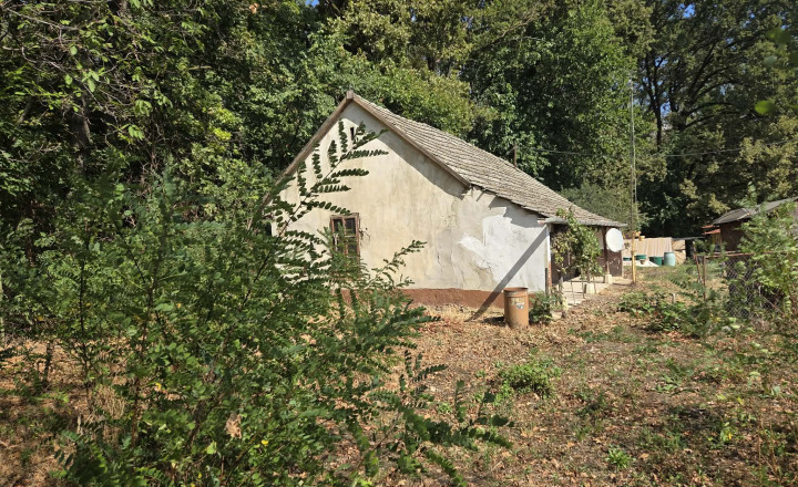 Ponúkame na predaj chatu na Malom Ostrove - fotografia 8