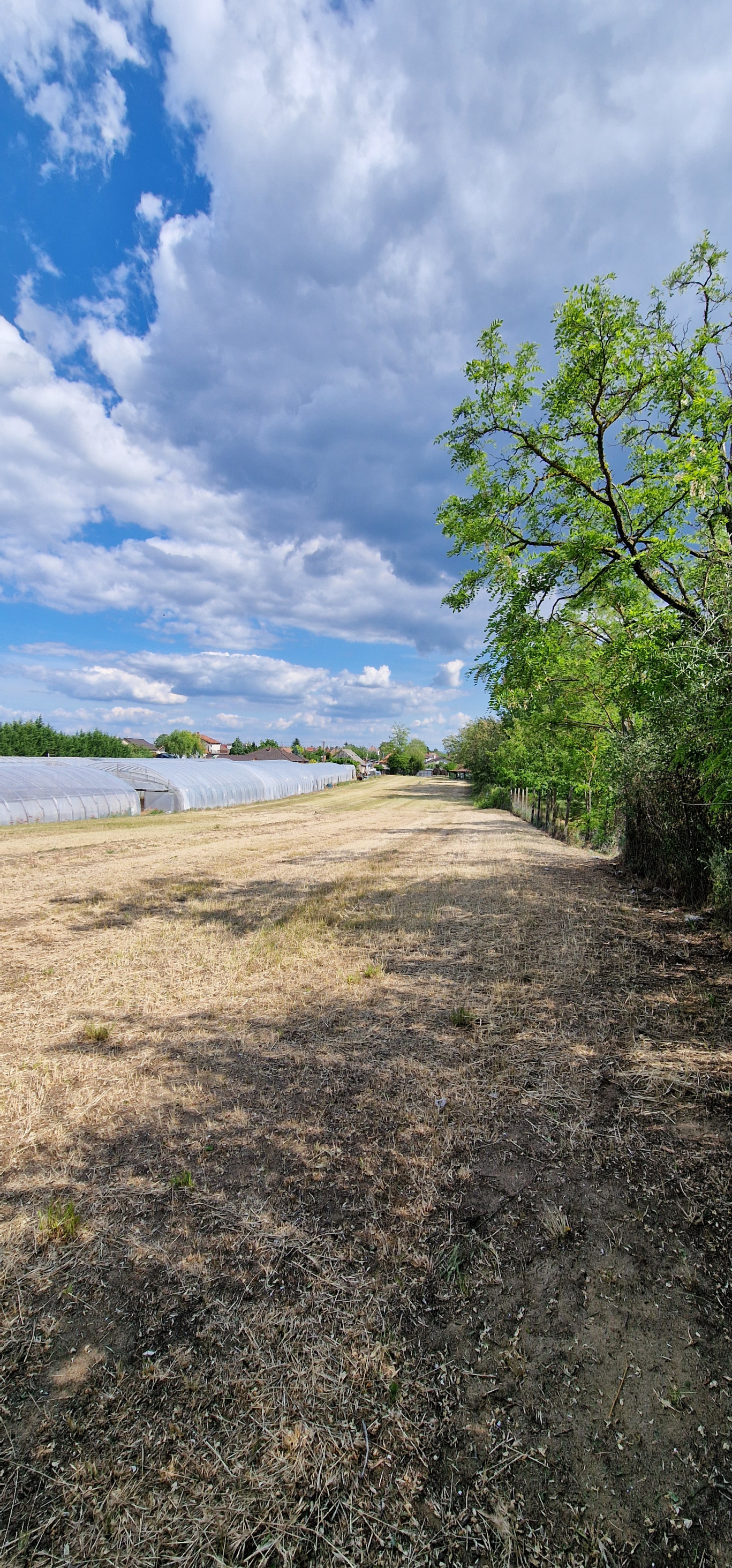 Ponúkam na predaj veľký pozemok s rozlohou 3765 m² v meste Nesvady