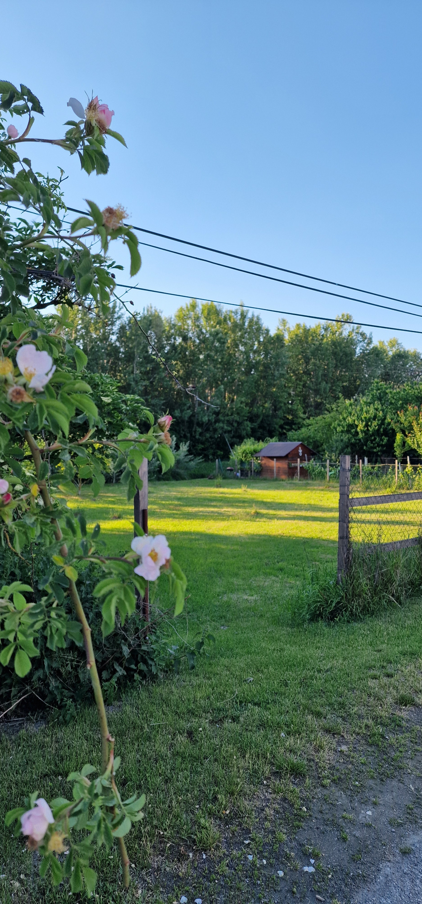 Na predaj pozemok pri vode, len pár minút od Veľkého Medera